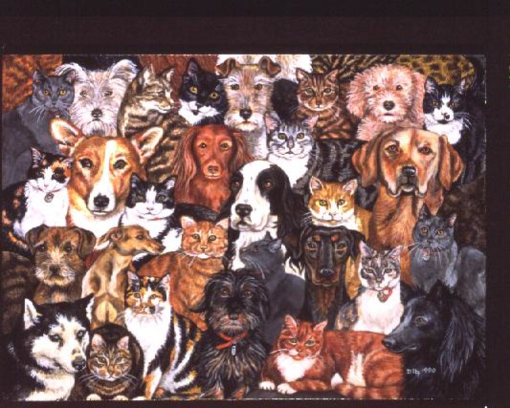 Detail of Rain by Ditz Ditz