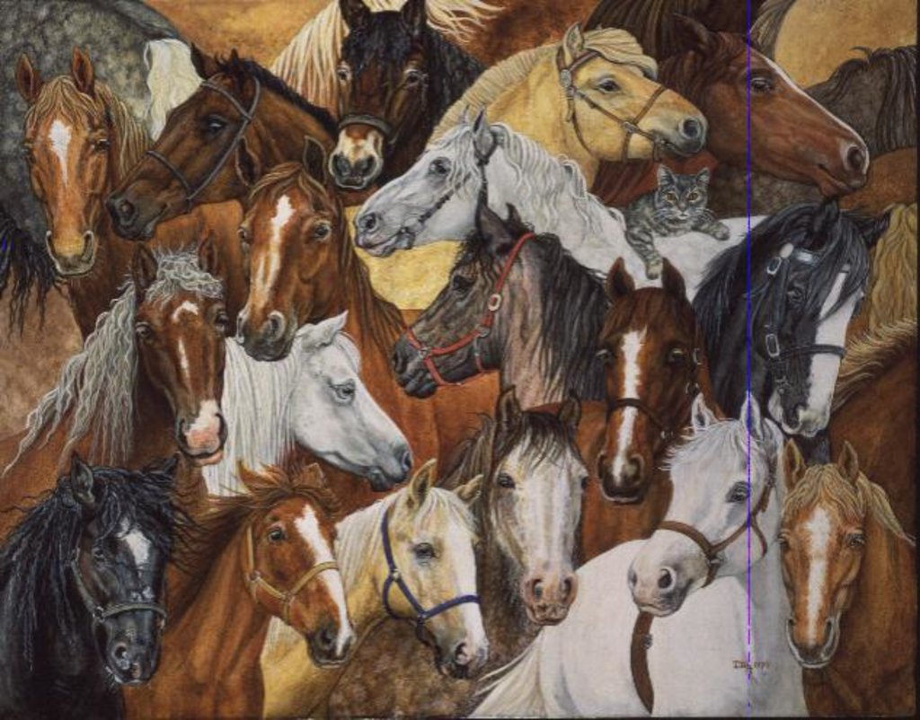 Detail of Dee's Horse-Blanket by Ditz Ditz