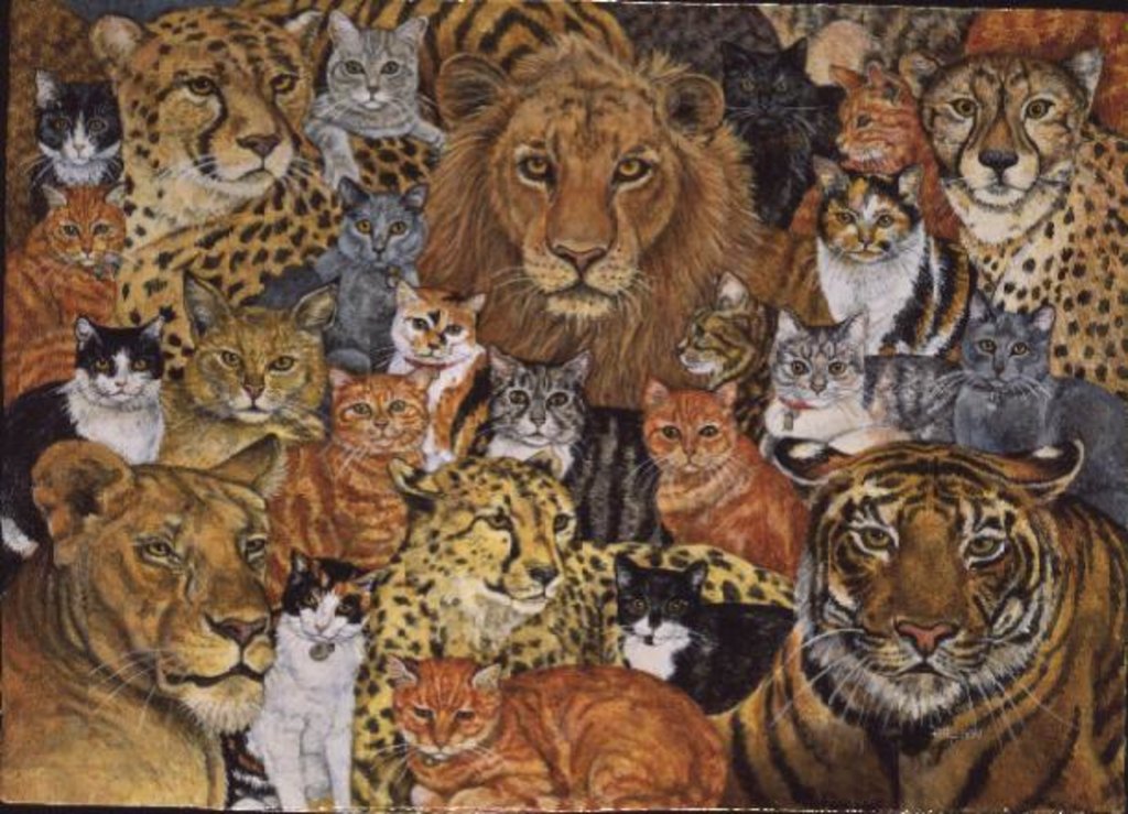 Detail of Semi Wild Cat Spread by Ditz Ditz