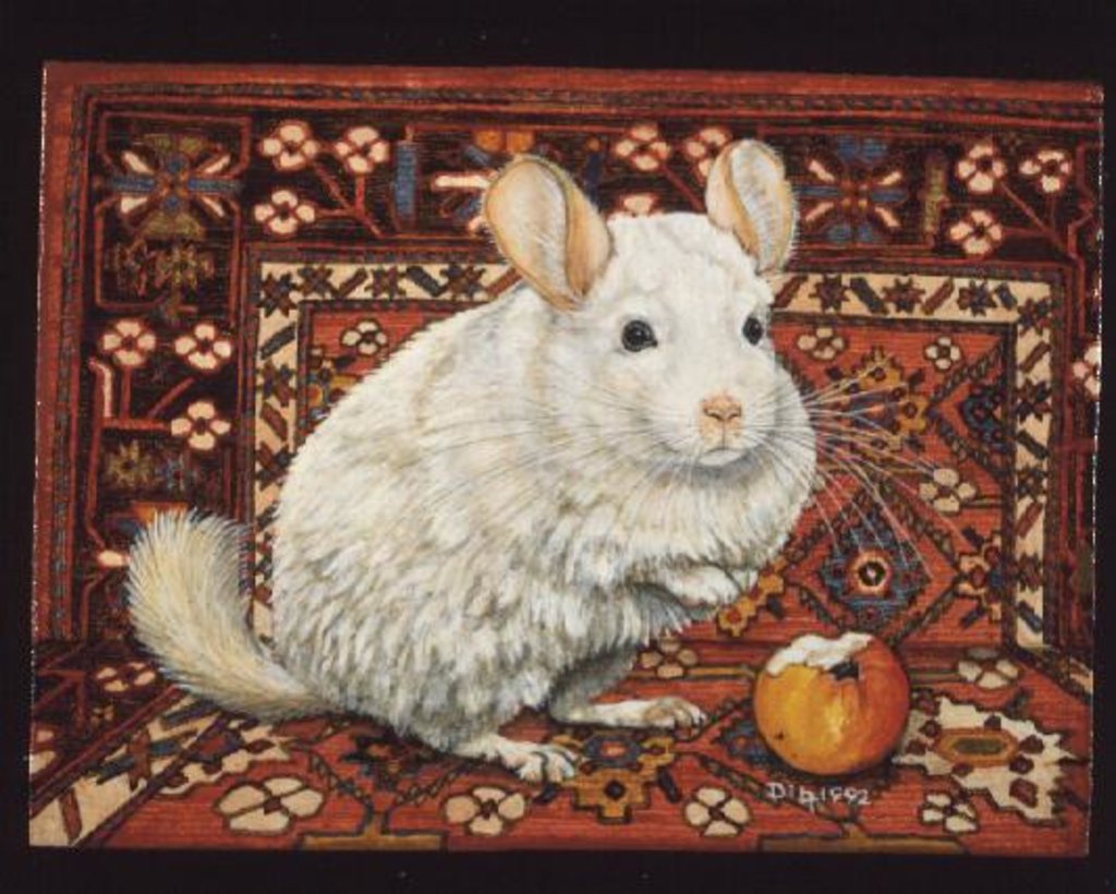 Detail of The Carpet-Chinchilla, 1992 by Ditz Ditz