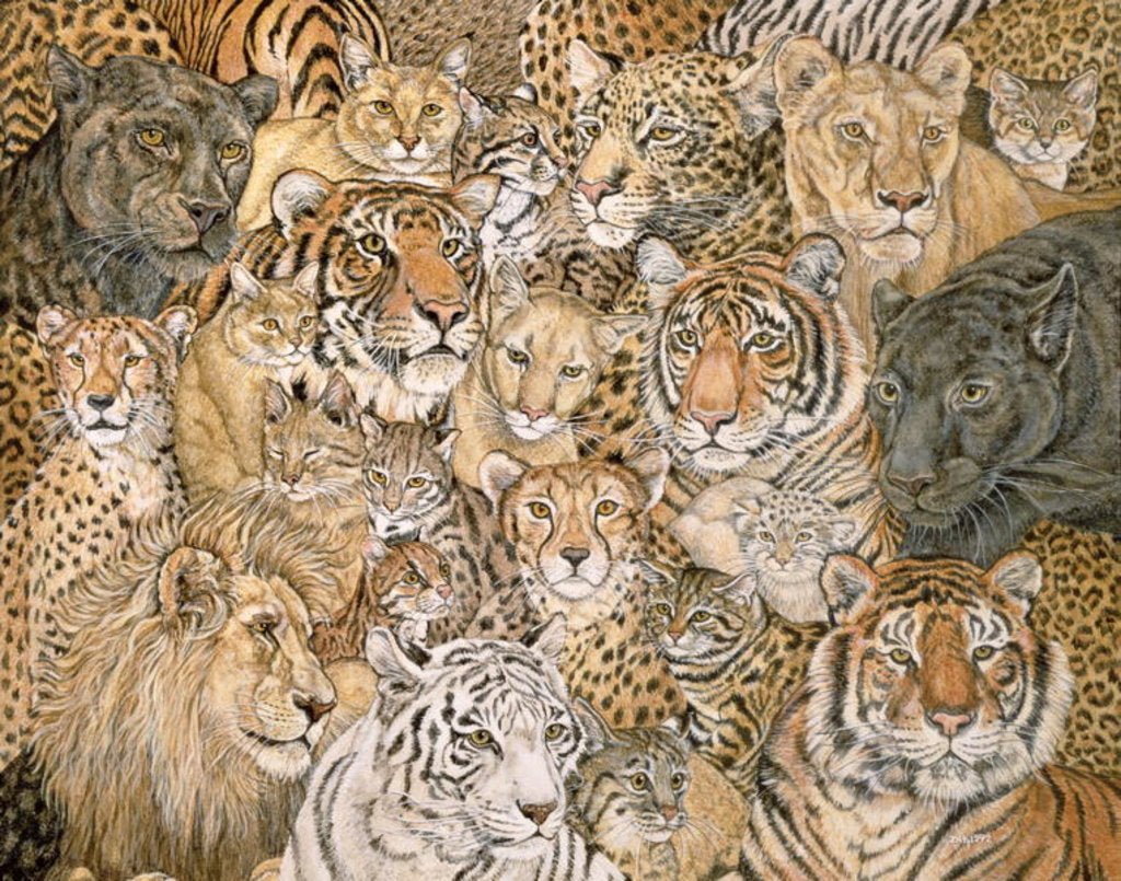 Detail of Wild Cat-Spread, 1992 by Ditz Ditz