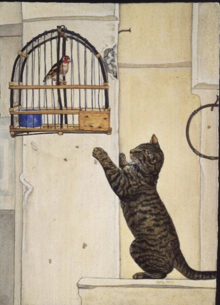 Detail of The Essuaira-Bird by Ditz Ditz