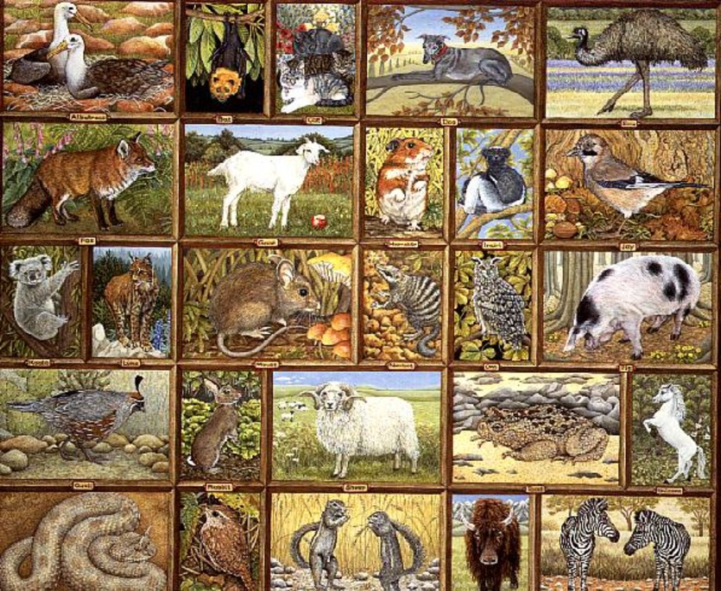 Detail of Alphabetical Animals by Ditz Ditz