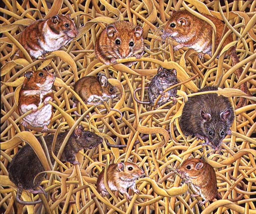 Detail of The Raiders of the Ark, 1995 by Ditz Ditz