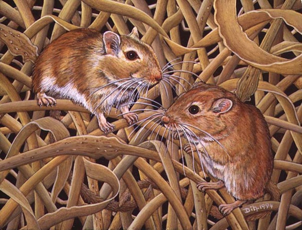 Detail of The Gerbils, 1994 by Ditz Ditz