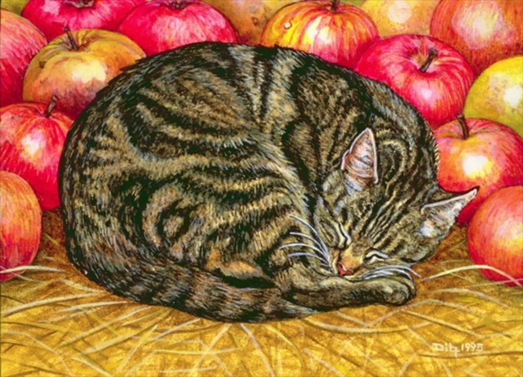 Detail of Left-Hand Apple-Cat, 1995 by Ditz Ditz