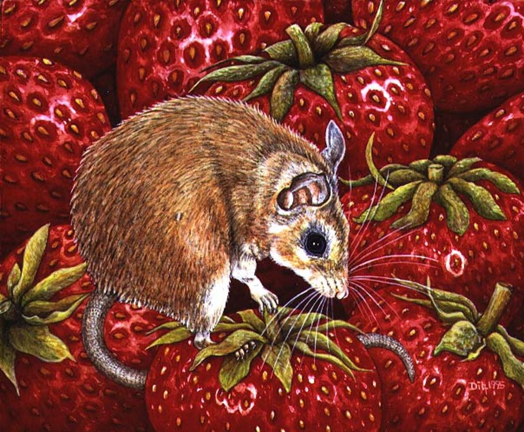 Detail of Strawberry-Mouse, 1995 by Ditz Ditz