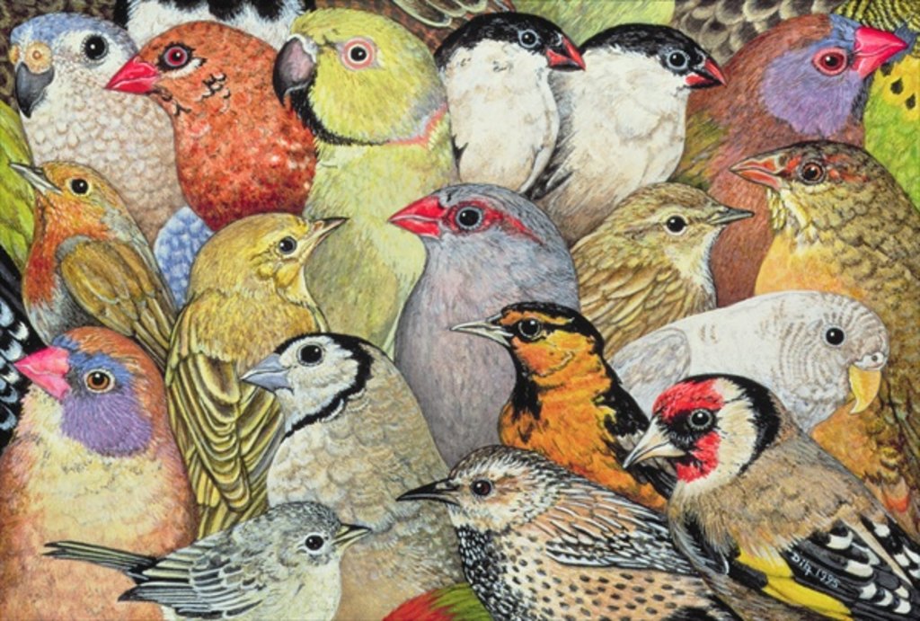 Detail of Patchwork-Birds, 1995 by Ditz Ditz