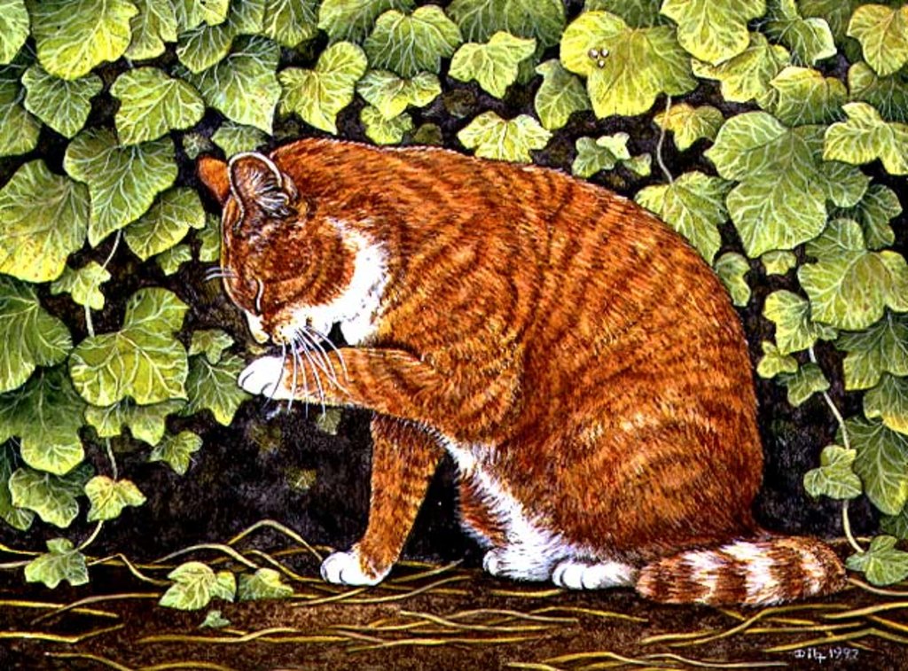 Detail of Wash-Day, 1996 by Ditz Ditz