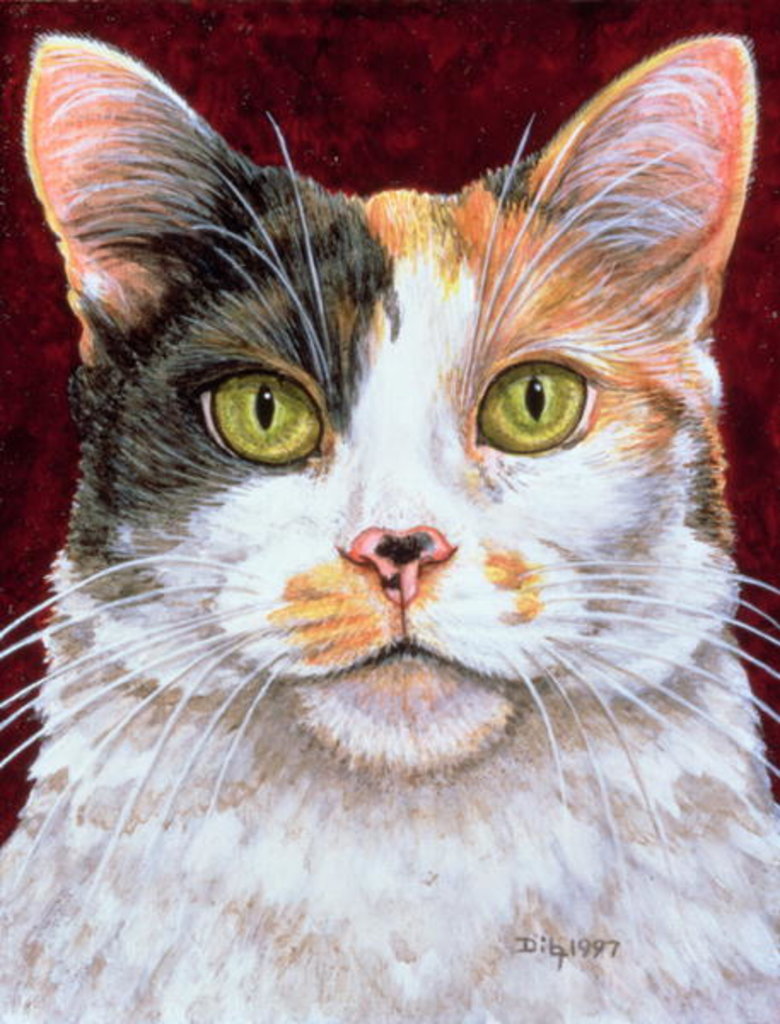 Detail of Marigold, 1997 by Ditz Ditz