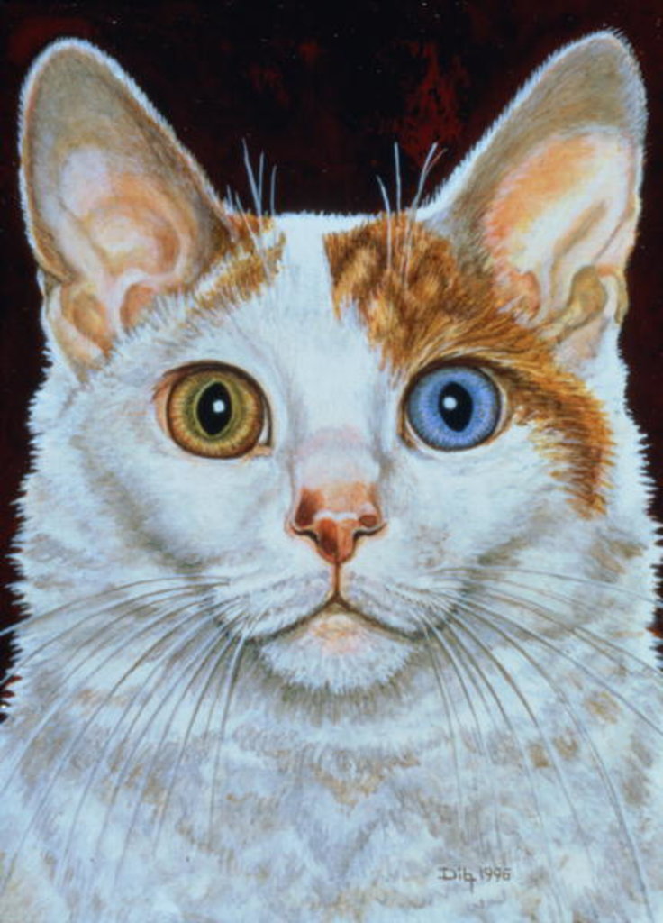 Detail of Minette, 1996 by Ditz Ditz