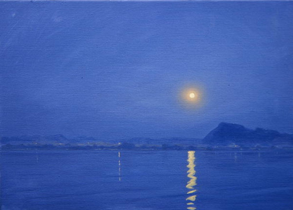 Detail of Moonlight over Udaipur by Derek Hare