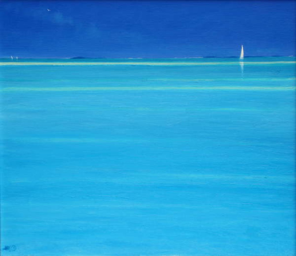 Detail of Off Whale Cay, Abaco by Derek Hare
