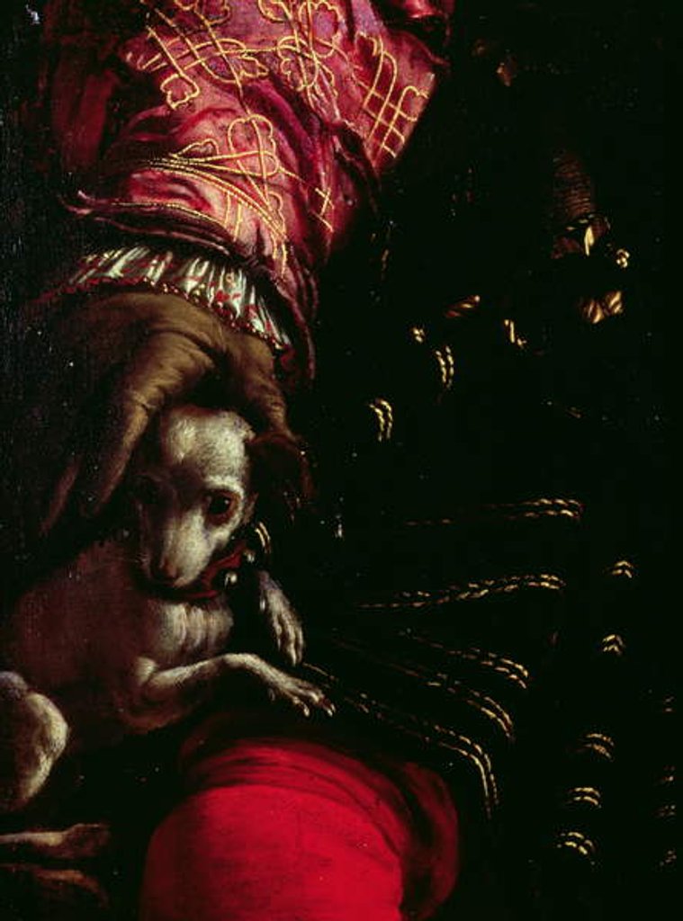 Detail of Detail of a dog from a painting of an unknown man by Nicolo dell Abate