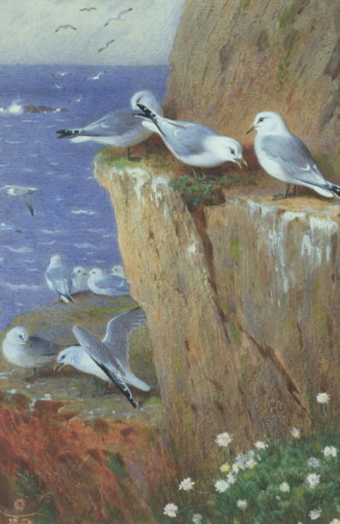 Detail of Seagulls by Archibald Thorburn