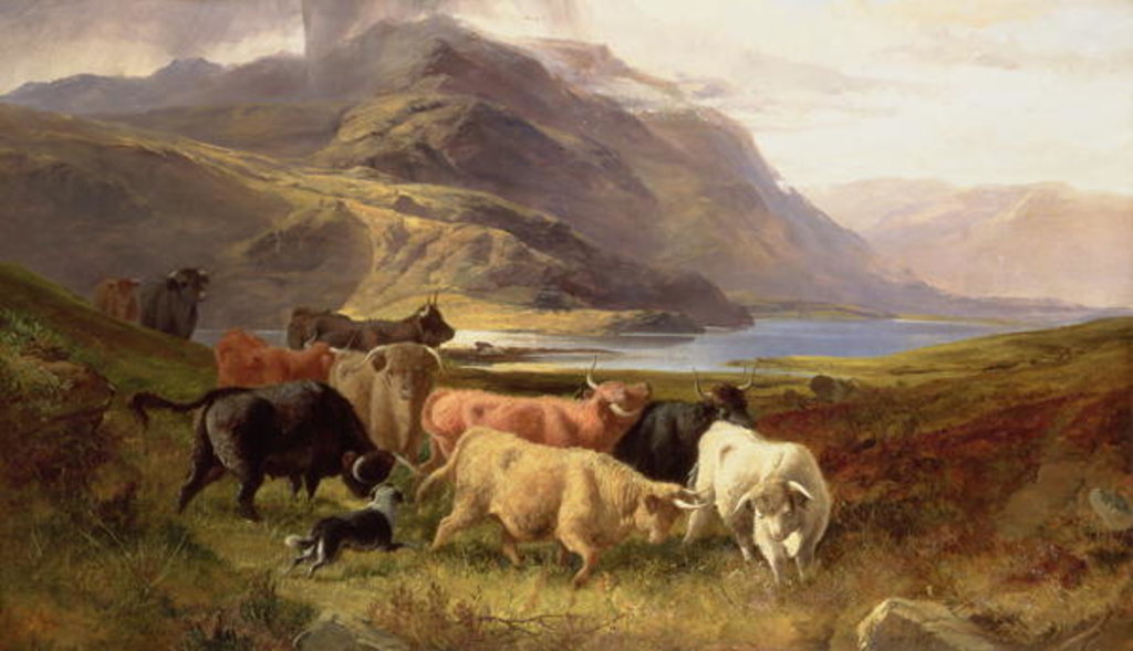 Detail of Highland Cattle with a Collie by Joseph & Adam Joseph Denovan (1846-96) Adam