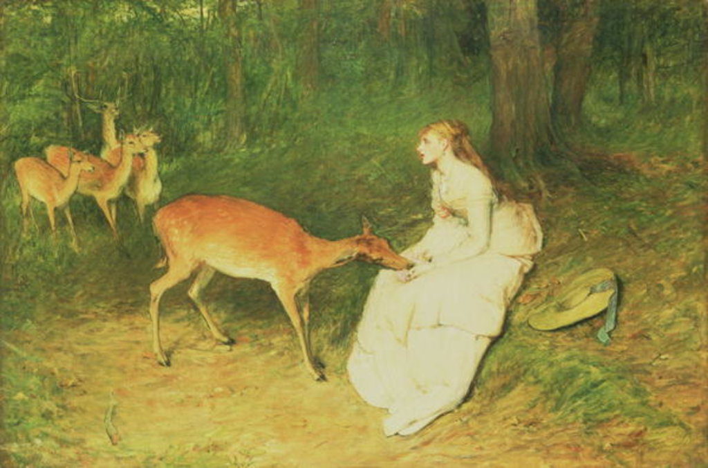 Detail of The Forest Pet, 1871 by William Quiller Orchardson