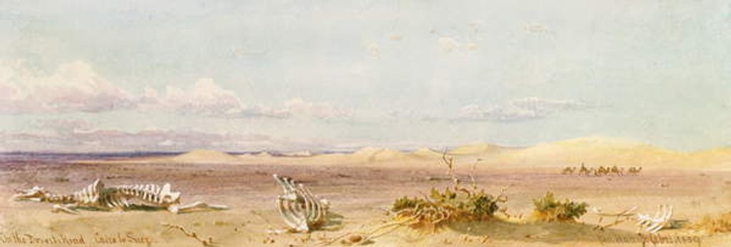 Detail of Sand Hills in the Desert, Cairo, Suez, 1859 by Carl Haag