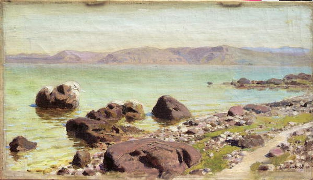 Detail of Rocky Shore, 1889 by Vasilij Dmitrievich Polenov