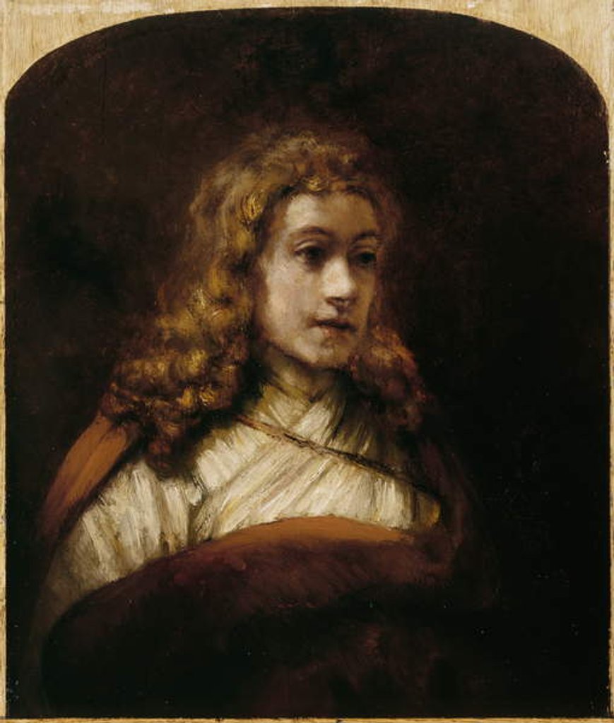 Detail of Titus, Rembrandt's Son, c.1660 by Rembrandt Harmensz. van Rijn