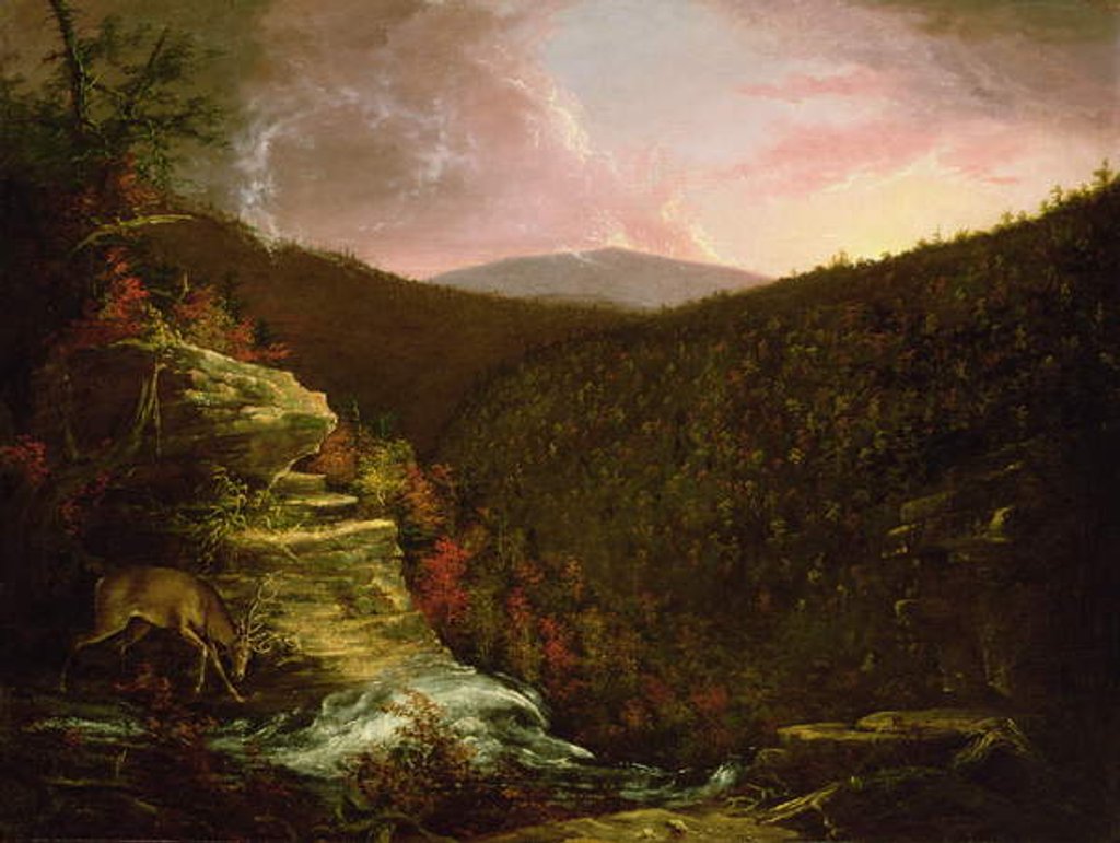 Detail of From the Top of Kaaterskill Falls, 1826 by Thomas Cole