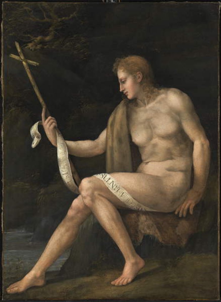 Detail of Saint John the Baptist in the Wilderness by Francesco Ubertini Il Bacchiacca