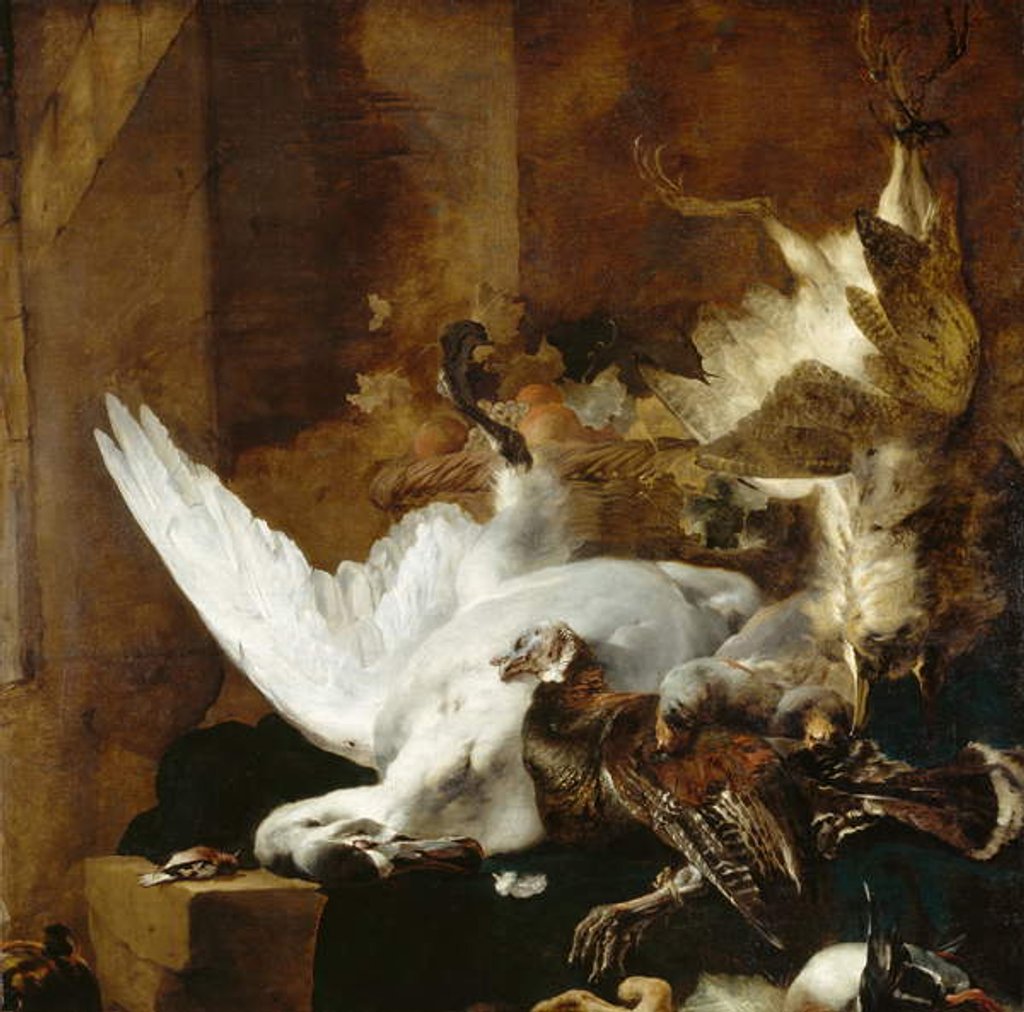 Detail of Still life with a dead swan, c.1651 by Jan Baptist Weenix