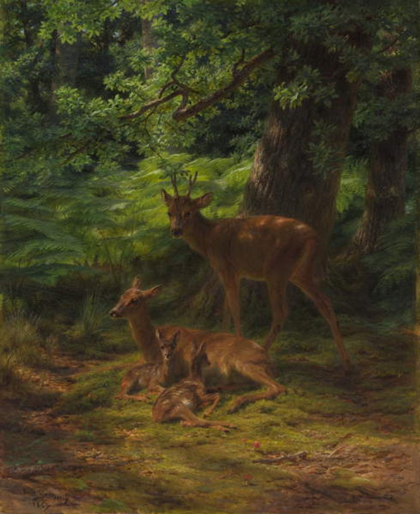 Detail of Deer in Repose, 1867 by Rosa Bonheur
