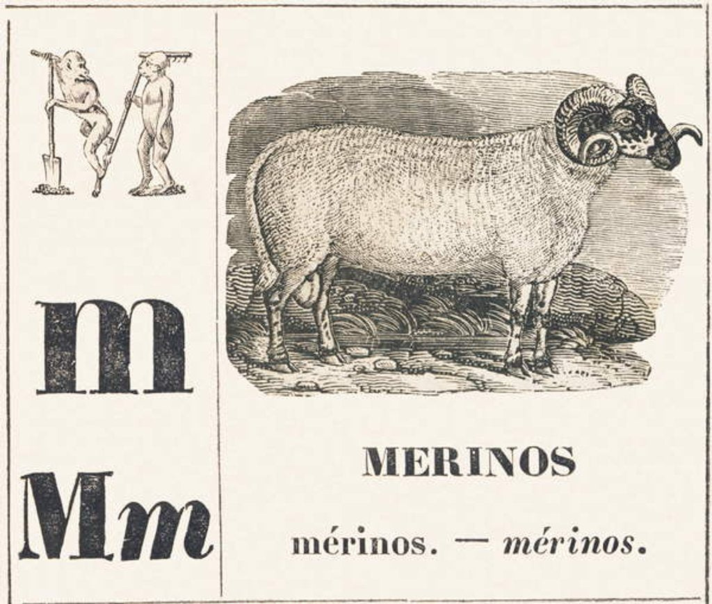 Detail of M for Merinos, 1850 by Louis Simon (1810-1870) Lassalle