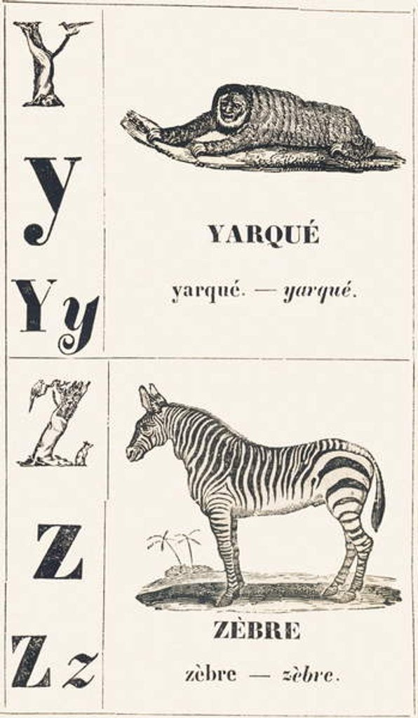 Detail of Y Z: Yarque — Zebra, 1850 by Louis Simon Lassalle