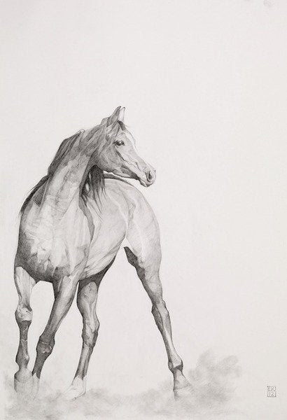 Detail of Moving Image, Series 1, 2012 by Emma Kennaway