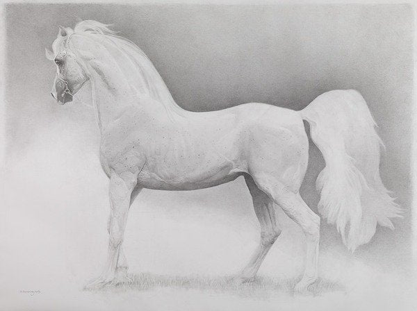 Detail of Moving Image, Series 2, 2013 by Emma Kennaway