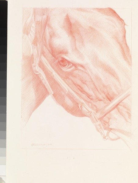 Detail of Portrait Head, 2012 by Emma Kennaway