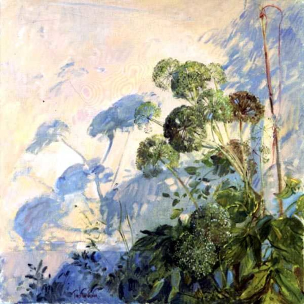 Detail of Angelica Shadows by Timothy Easton