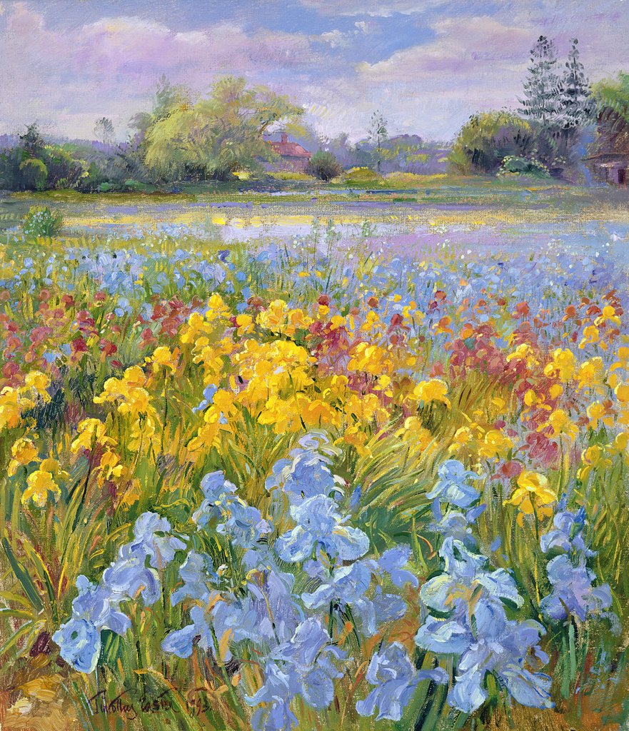 Detail of Irises, Willow and Fir Tree, 1993 by Timothy Easton