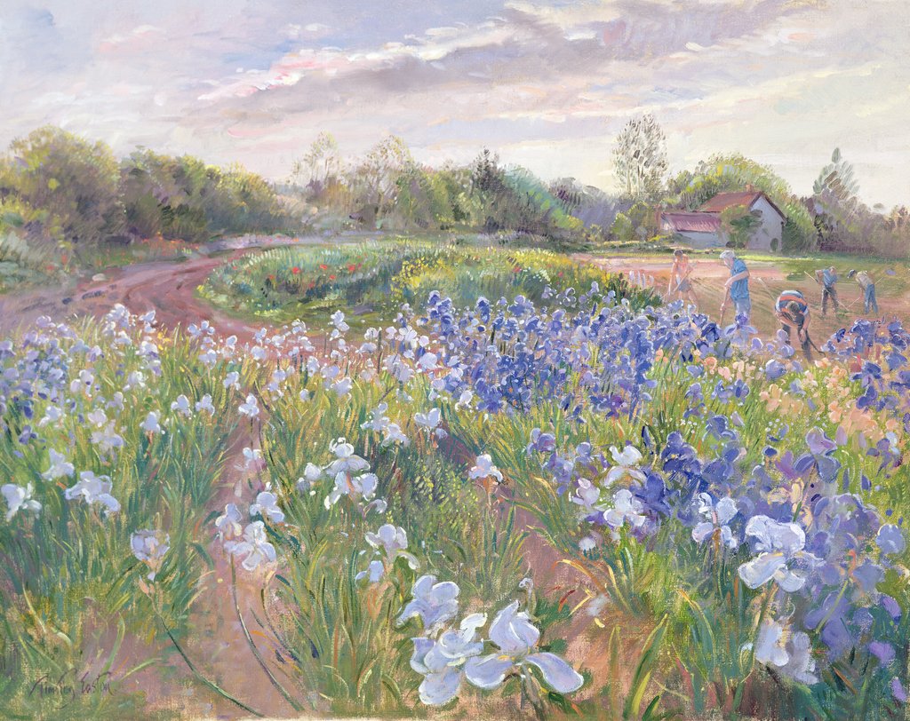 Detail of Sunsparkle on Irises, 1996 by Timothy Easton