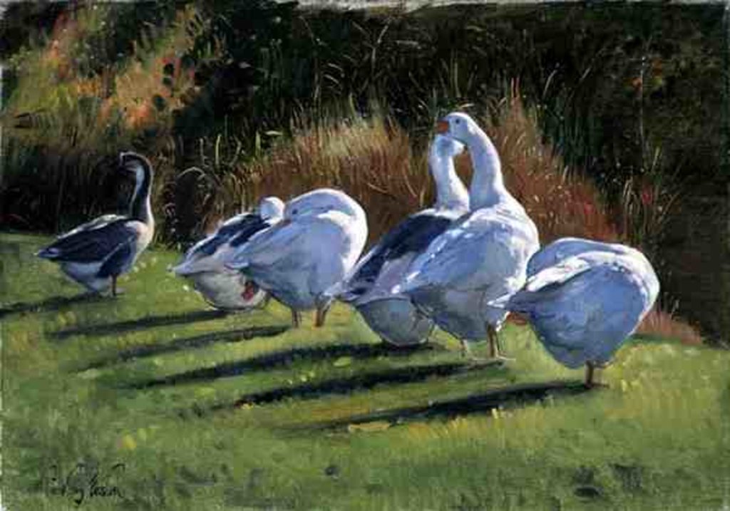 Detail of Moat Edge, Bedfield by Timothy Easton