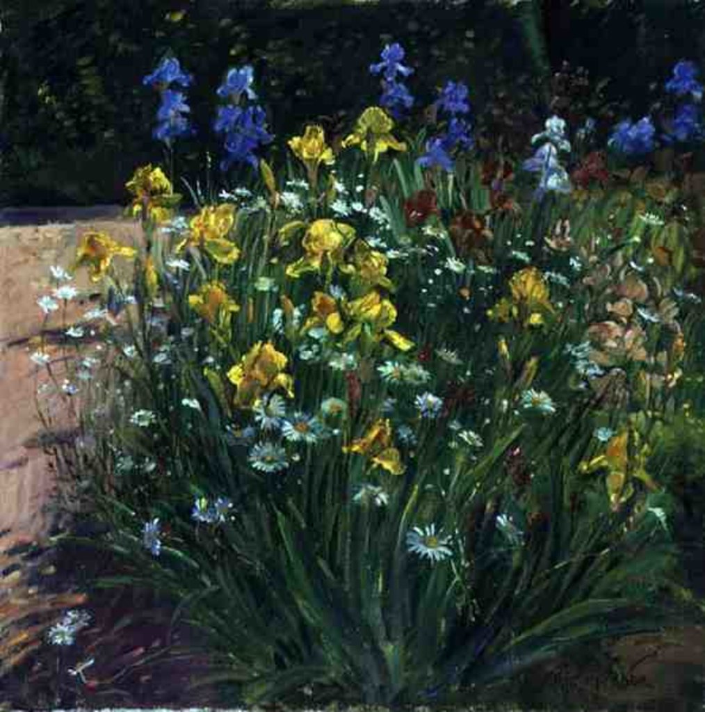 Detail of Oxeye Daisies Against the Irises by Timothy Easton