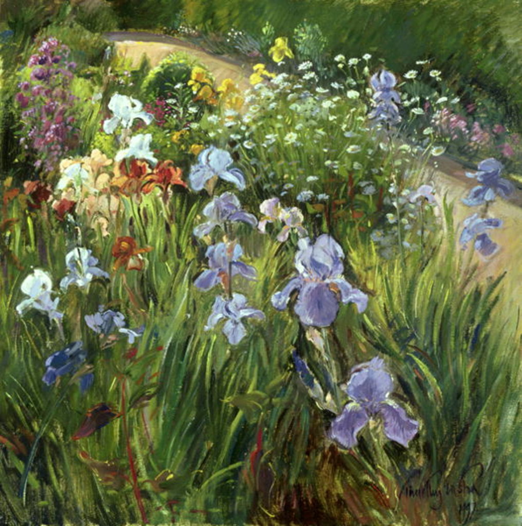 Detail of Irises and Oxeye Daisies, 1997 by Timothy Easton
