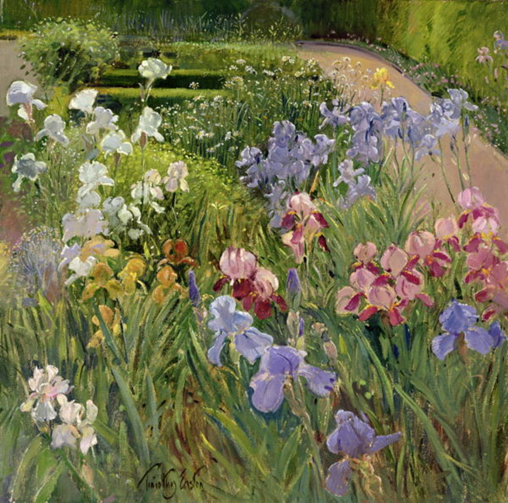 Detail of Irises at Bedfield by Timothy Easton