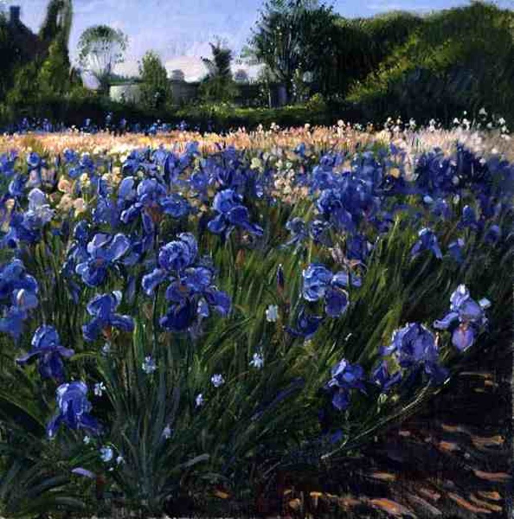 Detail of Above the Blue Irises by Timothy Easton