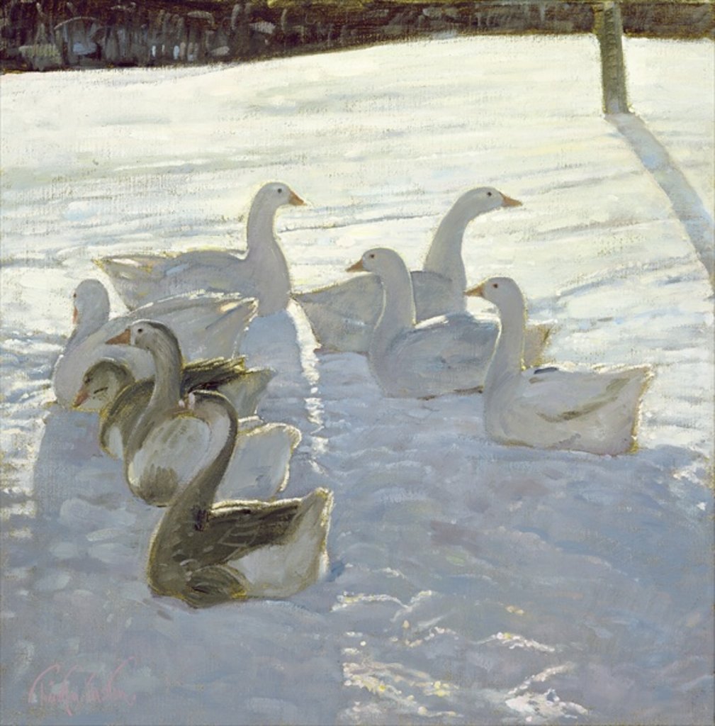 Detail of Geese Against the Light by Timothy Easton