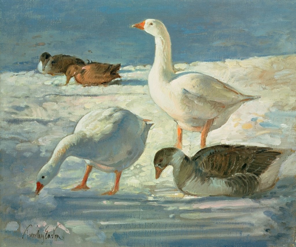 Detail of Geese and Mallards, 2000 by Timothy Easton