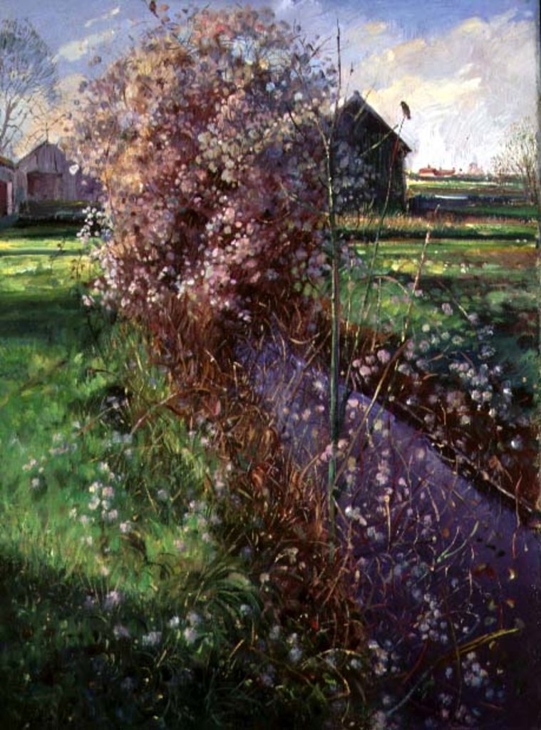 Detail of Bearded Bush by Timothy Easton