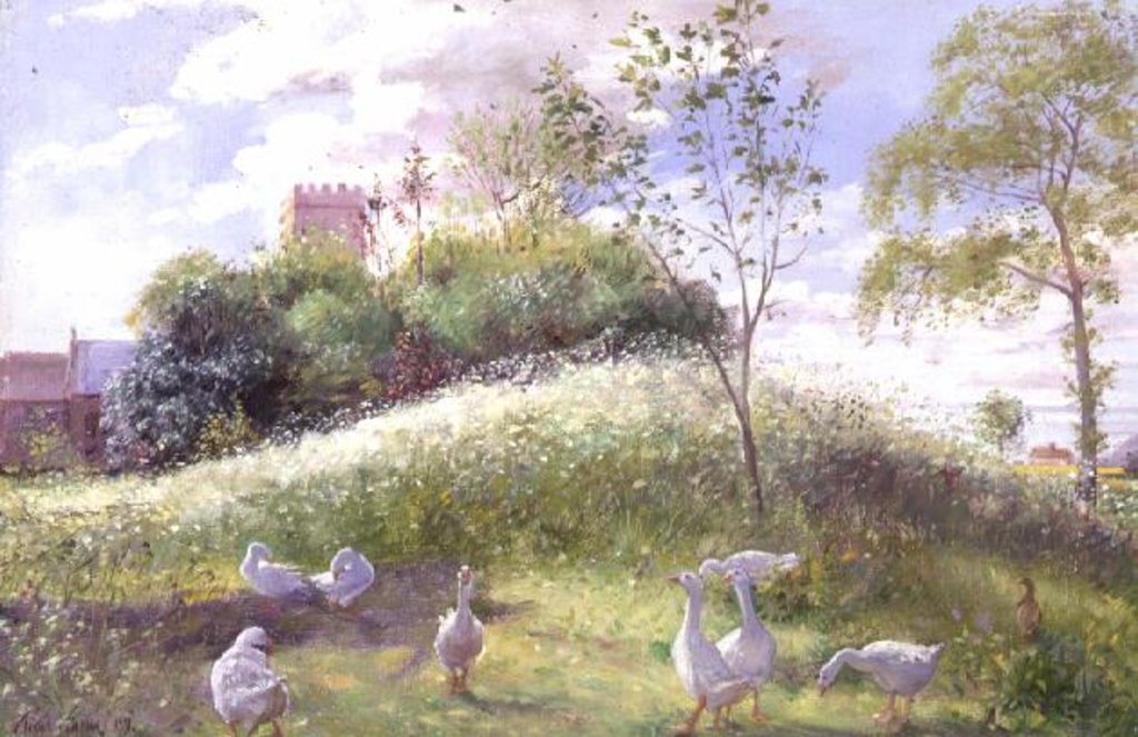 Detail of May Mount, 1991 by Timothy Easton