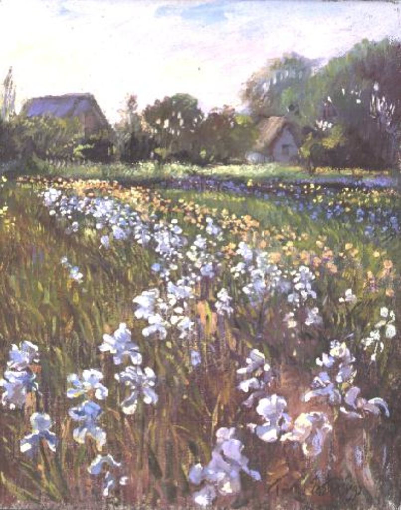 Detail of White Irises and Farmstead by Timothy Easton