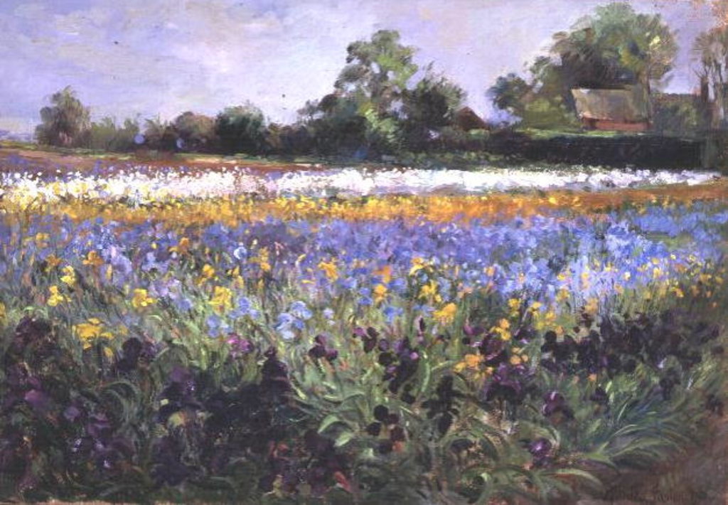 Detail of Iris Field and Two Cottages by Timothy Easton