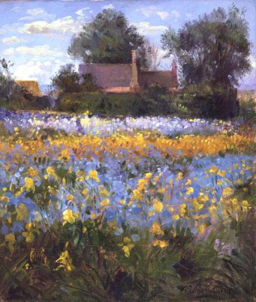 Detail of The Enclosed Cottages in the Iris Field by Timothy Easton