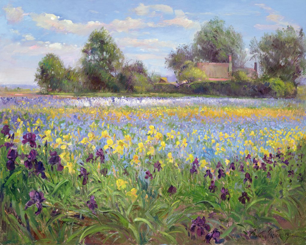 Detail of Farmstead and Iris Field, 1992 by Timothy Easton