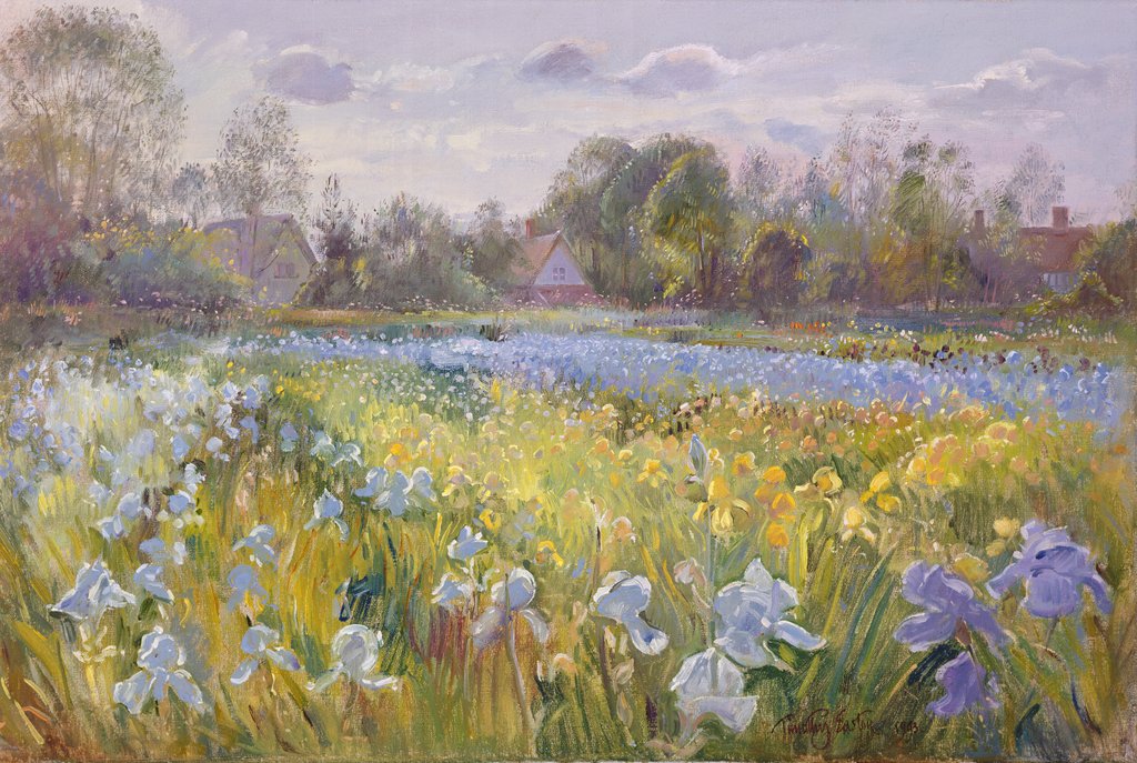 Detail of Iris Field in the Evening Light, 1993 by Timothy Easton